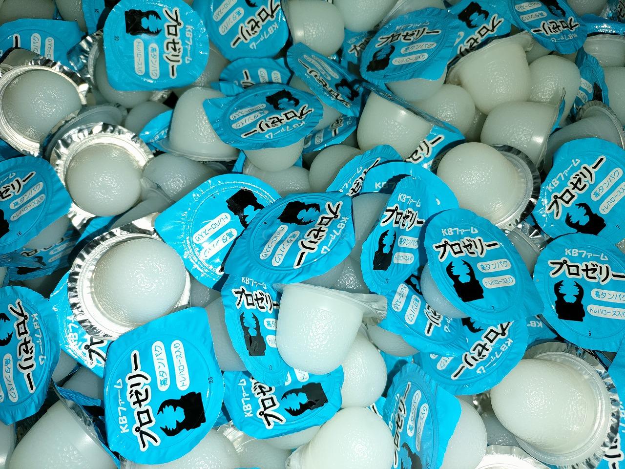 projelly-16g-500