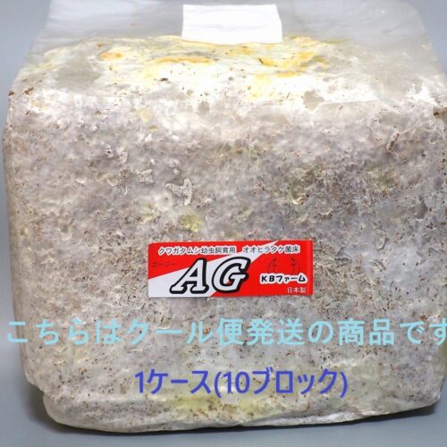 AGブロック 10個セット オオヒラタケ菌床 クール便