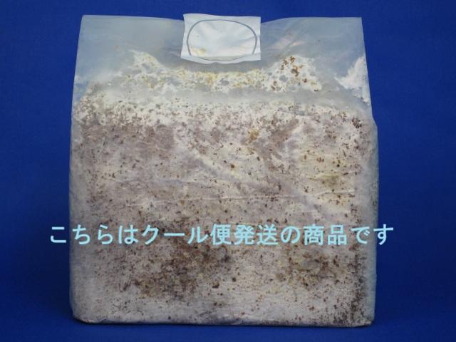 カワラエースC 8個セット カワラ菌床 クール便