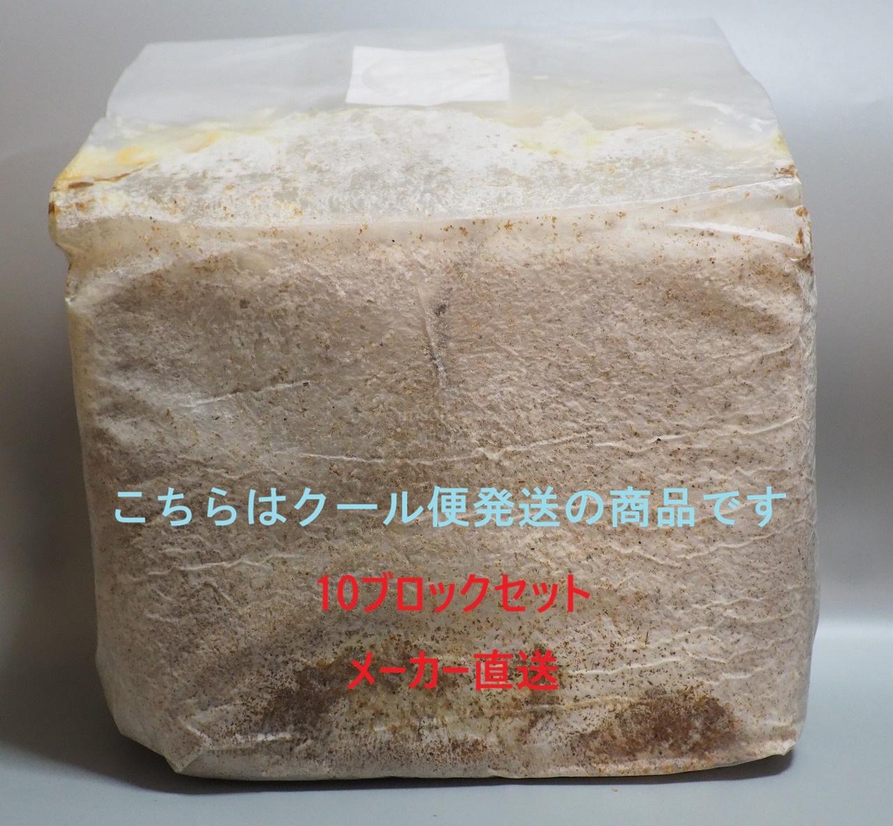 KBカワラブロック 10個セット カワラ菌床 クール便