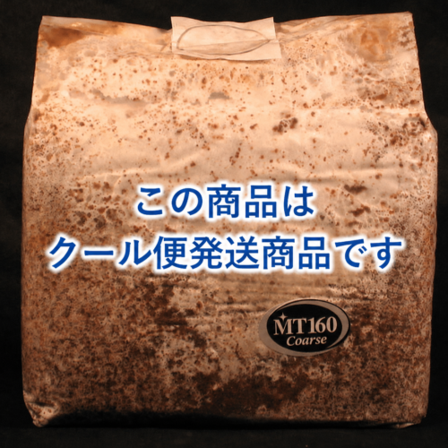 MT160銀 菌糸ブロック8個セット（微創研）クール便発送